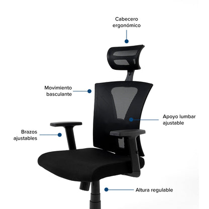 SILLA TORONTO PRESIDENTE