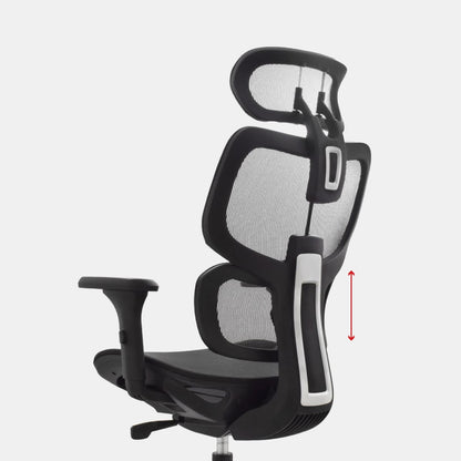 SILLA PRESIDENTE ALTUS NEGRA