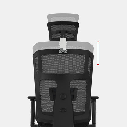 SILLA DE OFICINA TRIANA PRESIDENTE NEGRA