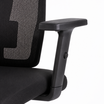 Silla Astoria Brazo