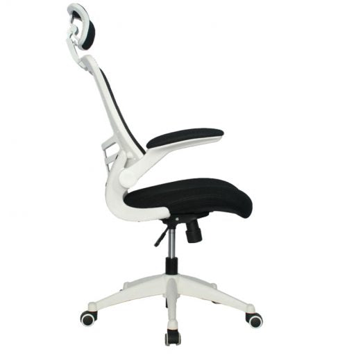 SILLA ESTERLINA PRESIDENTE