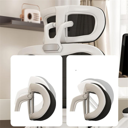 SILLA ESTERLINA PRESIDENTE