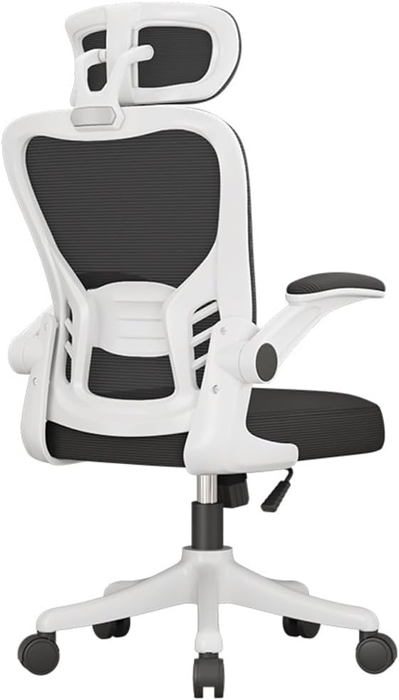 SILLA ESTERLINA PRESIDENTE