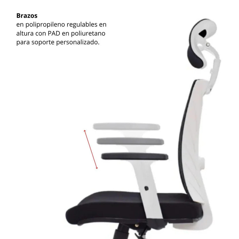 SILLA DE OFICINA TURQUÍA PRESIDENTE